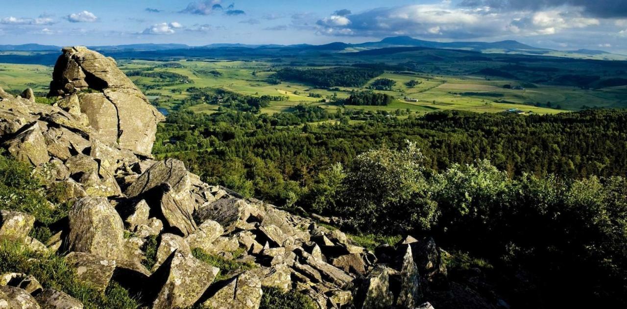 Chalet De Crouzillac Tence Eksteriør bilde